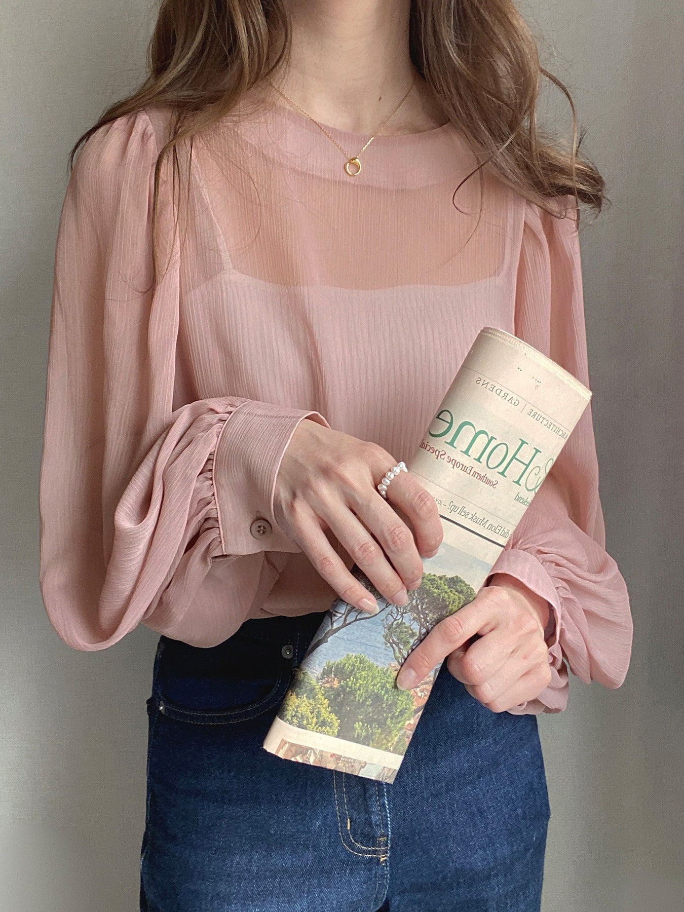 Balloon sleeve sheer blouse in 5 colors