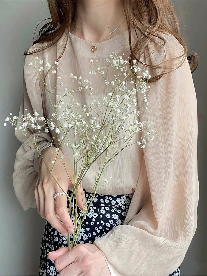 Balloon sleeve sheer blouse in 5 colors