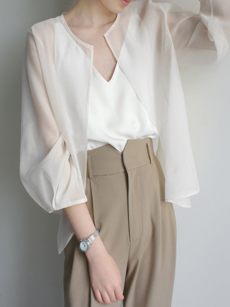 Sheer organza jacket top in 2 colors